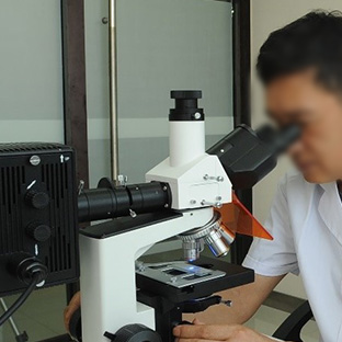 文書/筆跡/印章鑒定