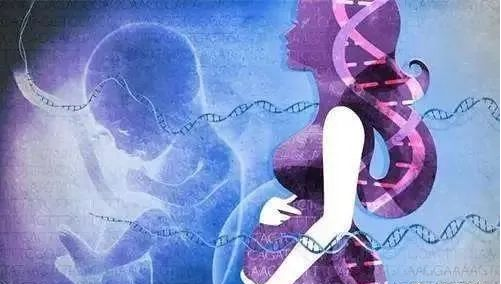 無創產前基因檢測（NIPT）到底有什么作用？