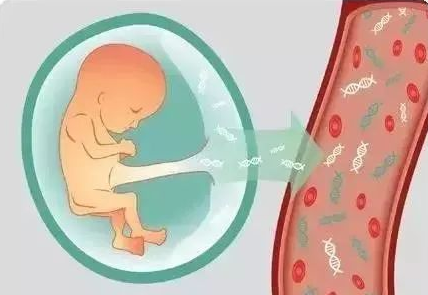 無創(chuàng)產(chǎn)前基因檢測(cè)（NIPT）到底有什么作用？