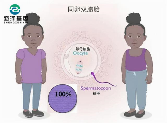 廣東男子做親子鑒定，竟發(fā)現(xiàn)自家雙胞胎有一個不是自己的？！