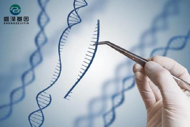 廣東男子做親子鑒定，竟發(fā)現(xiàn)自家雙胞胎有一個不是自己的？！