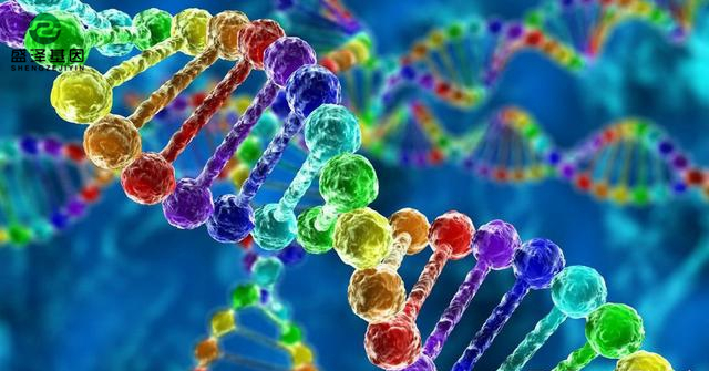 親子鑒定故事聽起來很魔幻?其實現實生活遠比電視劇來的精彩! 親子鑒定故事聽起來很魔幻?其實現實生活遠比電視劇來的精彩!