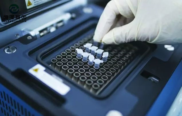 中山司法親子鑒定醫(yī)院咨詢：醫(yī)院做親子鑒定掛什么科？