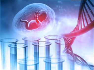 懷孕親子鑒定風險性高嗎？