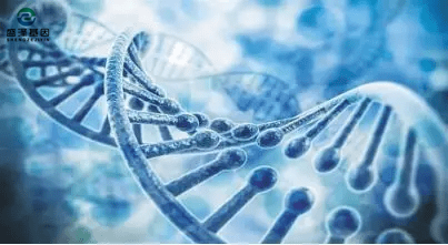 明明孩子是自己生出來的，親子基因鑒定卻非親生？