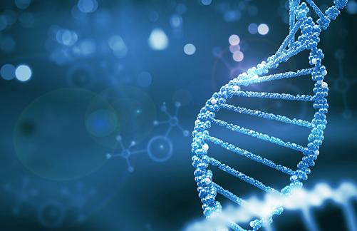 結婚后男方要求女方做親子鑒定是要確定撫養的是自己的孩子 結婚后男方要求女方做親子鑒定是要確定撫養的是自己的孩子