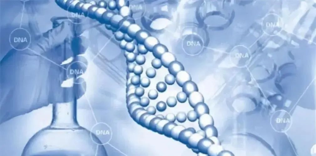 DNA司法親子鑒定的詳細流程（染色體親權鑒定）