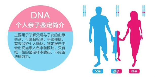 中山東區(qū)司法親子鑒定中心給客戶做親子鑒定準(zhǔn)確率如何？