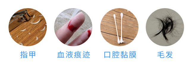 懷孕多久可以做無創(chuàng)胎兒親子鑒定樣本采集? 懷孕多久可以做無創(chuàng)胎兒親子鑒定樣本采集?