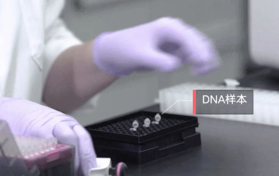 人員如何快速采樣?鑒定機構對收到的親子鑒定樣本負責 人員如何快速采樣?鑒定機構對收到的親子鑒定樣本負責