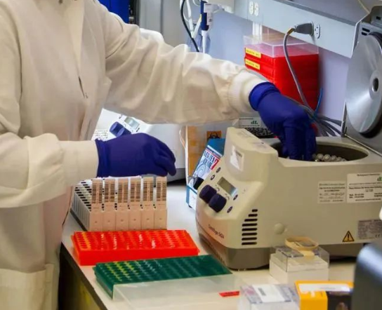 人員如何快速采樣？鑒定機構對收到的親子鑒定樣本負責