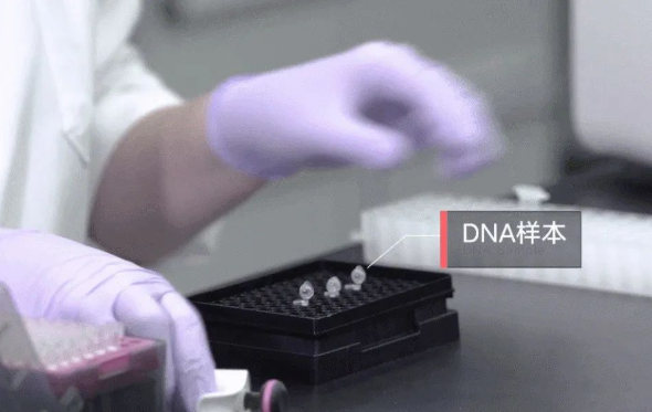 郵寄親子鑒定樣本準(zhǔn)不準(zhǔn)確?鑒定結(jié)果會(huì)不會(huì)出錯(cuò)? 郵寄親子鑒定樣本準(zhǔn)不準(zhǔn)確?鑒定結(jié)果會(huì)不會(huì)出錯(cuò)?