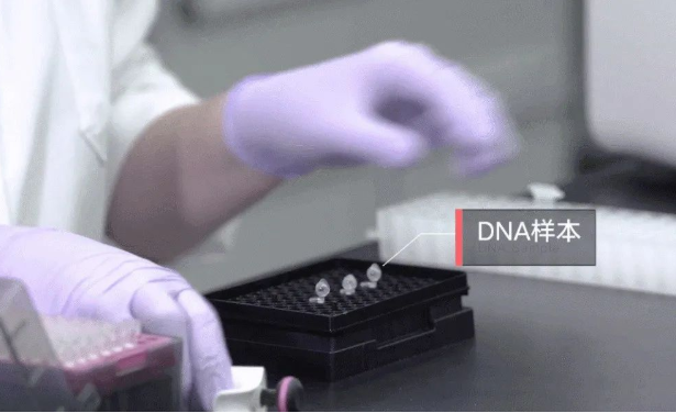 孩子不像丈夫怎么采集親子鑒定樣本確認關(guān)系?需要幾個工作日? 孩子不像丈夫怎么采集親子鑒定樣本確認關(guān)系?需要幾個工作日?