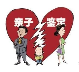 司法親子鑒定辦理流程有哪些？效力如何？