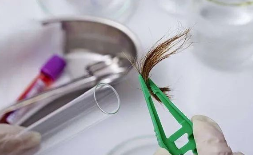 煙頭、血痕、毛發，做親子鑒定用哪些樣本最為準確？