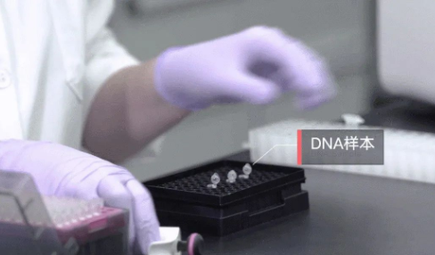 做親子鑒定需要申請嗎？如何親子鑒定？