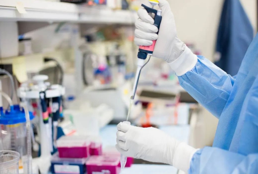 DNA親子鑒定要花多少錢？親子鑒定電泳檢測實驗流程