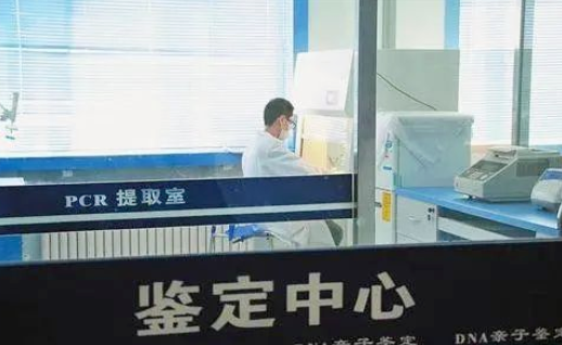 親子鑒定證明非婚生子法院會判決離婚嗎？可以要求過錯方賠償嗎？