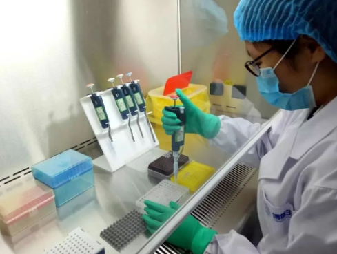 隱私親子鑒定該做不該做？如何做法律相關親子鑒定？