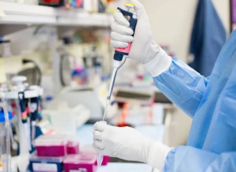 結(jié)婚有多少人做親子鑒定？女方比例有多高？孩子同居您怎么看？