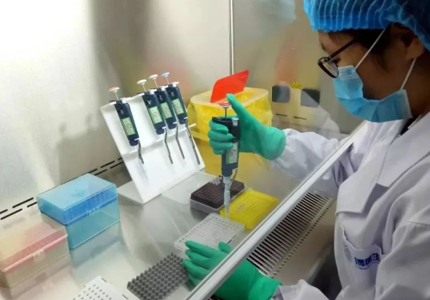 剪下來的頭發(fā)沒有毛囊可以做親子鑒定樣本嗎? 剪下來的頭發(fā)沒有毛囊可以做親子鑒定樣本嗎?