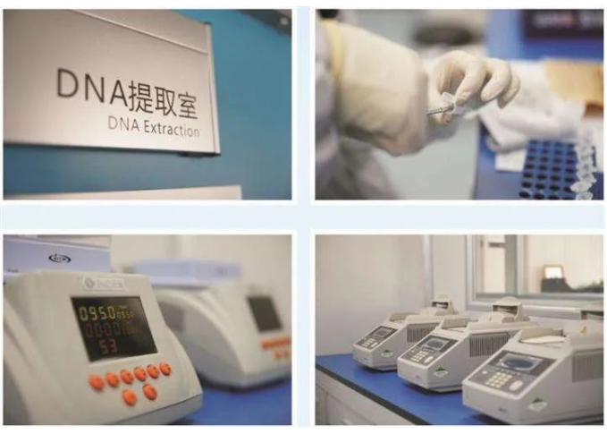 委托人一般在哪里做隱私親子鑒定?本中心保障隱私準(zhǔn)確 委托人一般在哪里做隱私親子鑒定?本中心保障隱私準(zhǔn)確