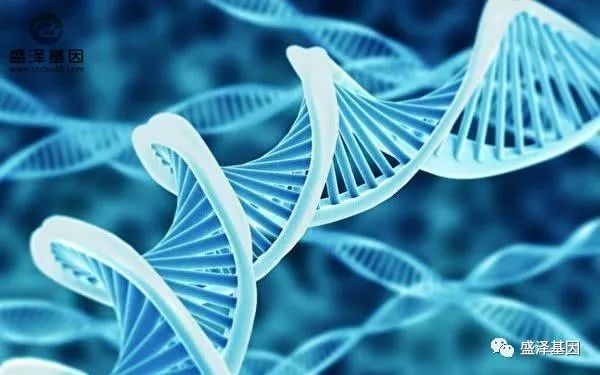 在中山哪里可以做無(wú)創(chuàng)孕期胎兒親子鑒定