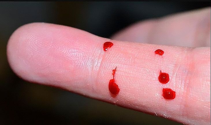 做隱私親子鑒定需要進行鑒定人提供什么？