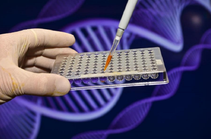 0ab9fe81e0b34bdea1da448829293a08.png 0ab9fe81e0b34bdea1da448829293a08.png