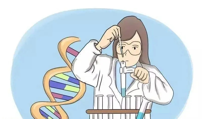 中山個(gè)人DNA親子鑒定辦理如何確保隱私