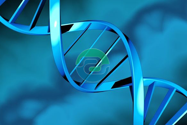 在哪里可以找到一個合適的中山親子鑒定機構？