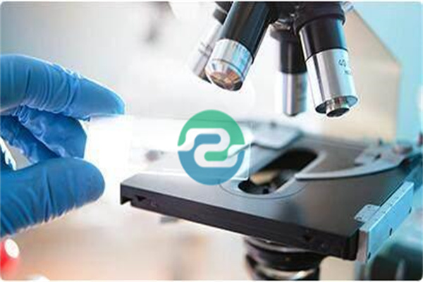 怎樣做親子鑒定才具有法律效力(中山親子鑒定到底要花多少錢)