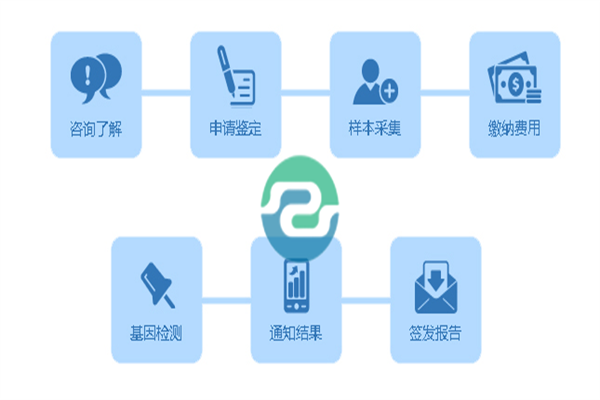 中山親子鑒定需要哪些信息？