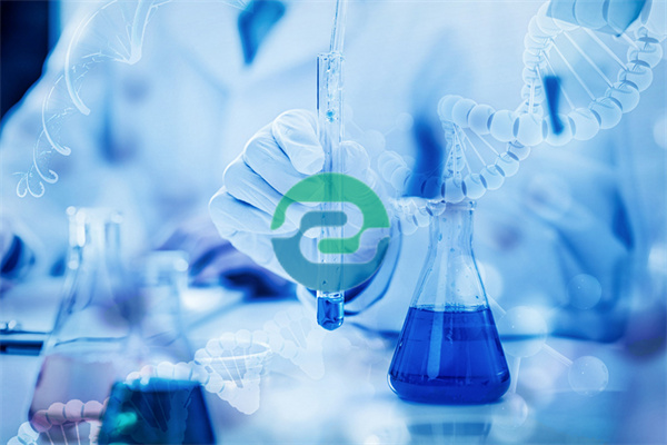 哪家醫院可以做中山親子鑒定？