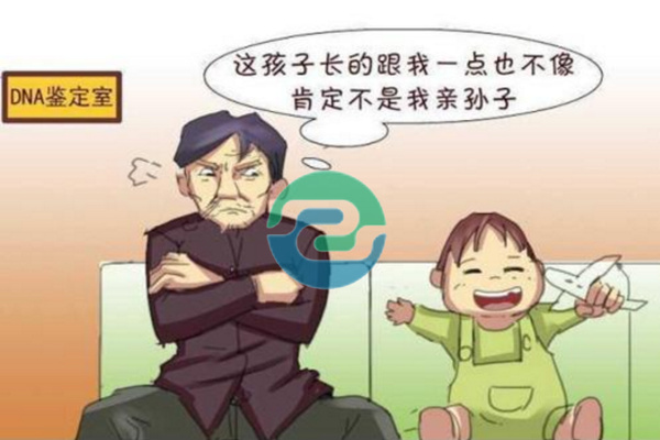 中山正規的親子鑒定需要多少錢？地址在哪？