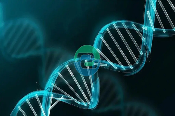 中山親子鑒定費用因多種因素而異！