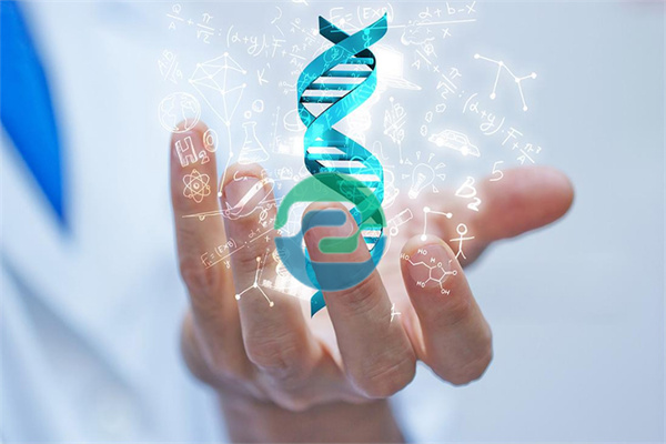 中山DNA親子鑒定背后的科學(xué)理論邏輯