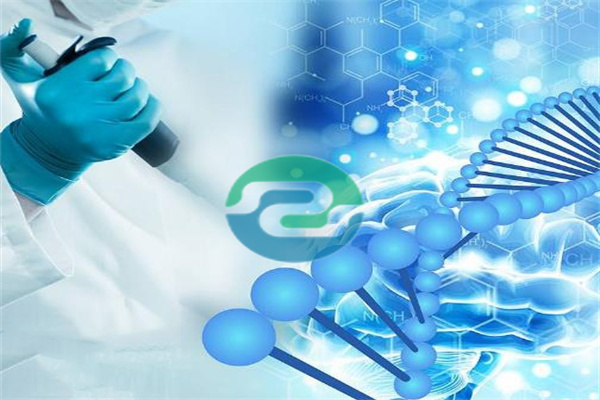 中山親子鑒定方式怎么選？