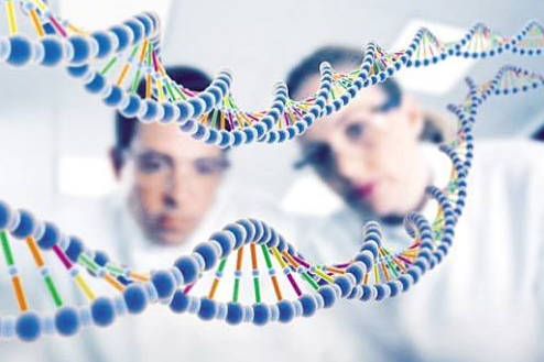 試管嬰兒可以做中山親子鑒定嗎？