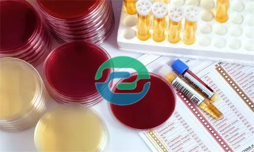 在中山做胎兒親子鑒定需要哪些證件？如何預約？