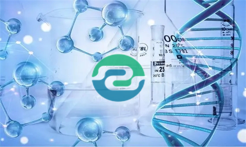 中山親子鑒定分兩種，材料差別很大！