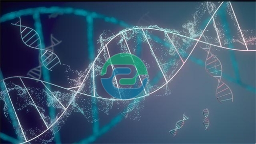 中山親子鑒定為無數(shù)家庭提供了明確的答案和支持！