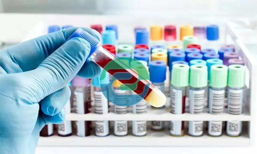 中山親子鑒定要多少錢？