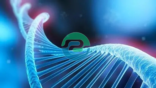 中山親子鑒定的費用是多少？需要什么？