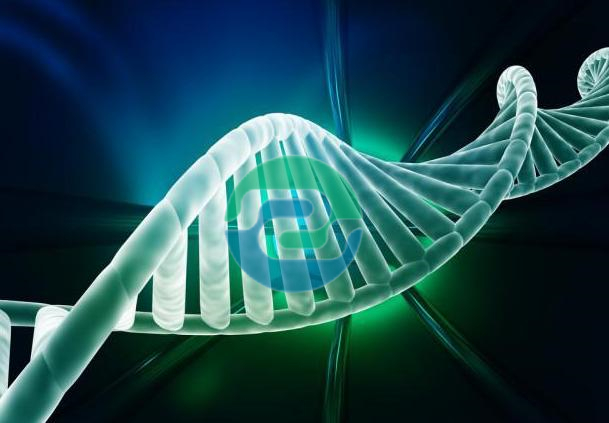 中山親子鑒定結(jié)果的解讀和應(yīng)用