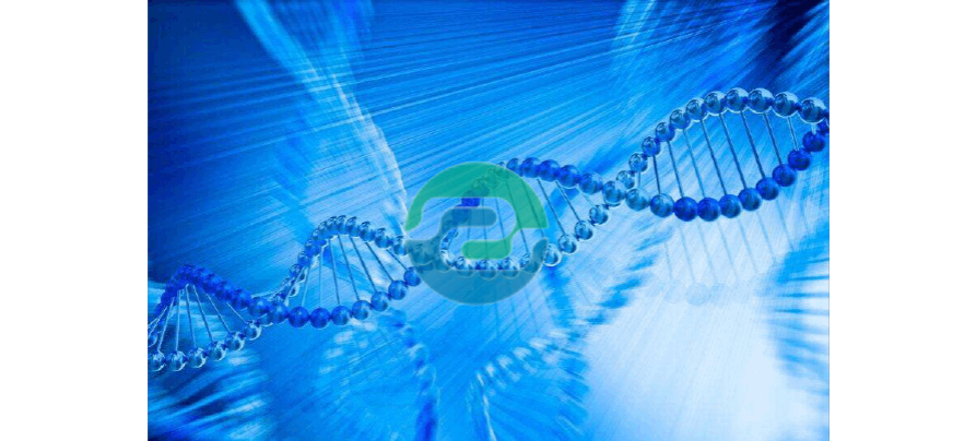 懷孕多長時間可以進行中山DNA親子鑒定？