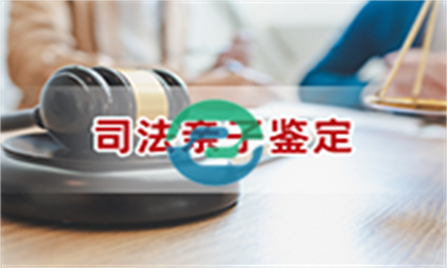 中山親子鑒定的準(zhǔn)確率很高，通常達(dá)到99.99%以上