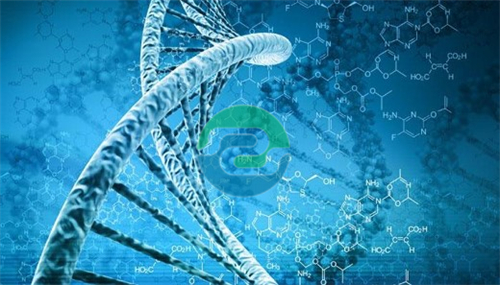 懷孕期間如何進行中山親子鑒定？