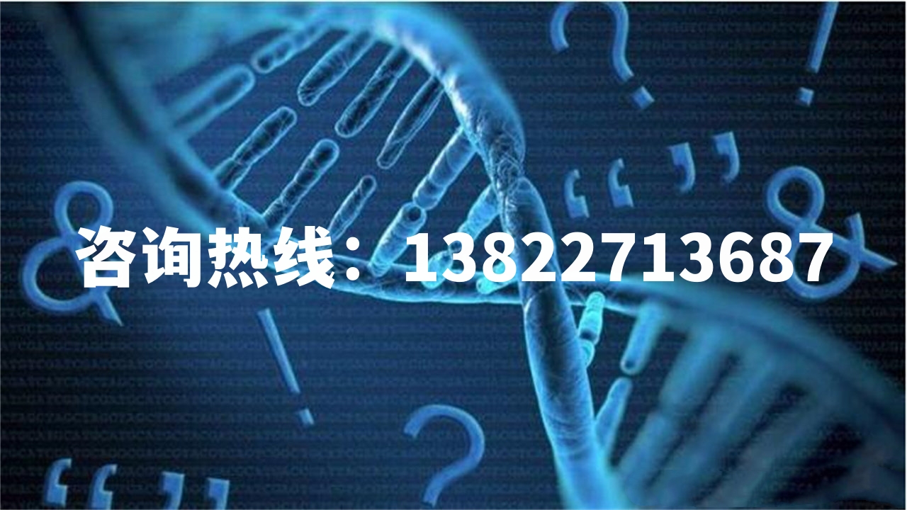 中山哪里可以找到正規的親子鑒定機構？